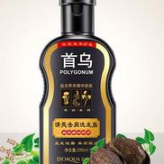 Polygonum shampoo
