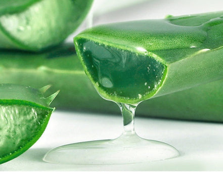 🌿AloeGlow™ Hydrating Aloe Vera Gel Cream
